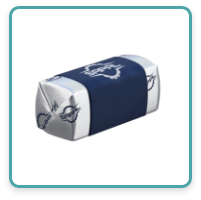 SAPAL_machine_emballage_chocolat_Praline-envelope-fold-with-banderole
